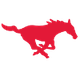 南方卫理会女篮logo