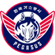 大邱石油公社飞马二队logo