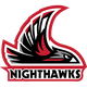 西北拿撒勒大学logo