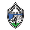 哈马尔女篮logo
