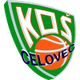 塞洛维茨logo