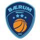 巴洛姆女篮logo