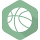 圣托马斯德州女篮logo