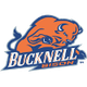 巴克尼尔大学logo