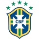 巴西七人足球队logo