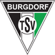 TSV布格多夫logo